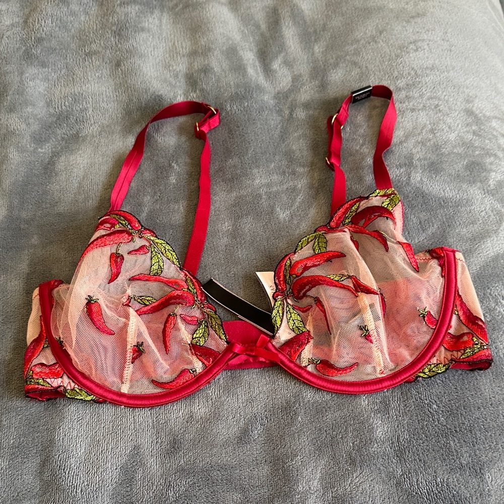 Victoria's Secret Red and Green Sheer Bra